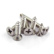 M4 x 20mm SS304 Stainless Steel Self-Tapping Screw - For Timber M4 x 20mm SS304 Stainless Steel Self-Tapping Screw - For Timber