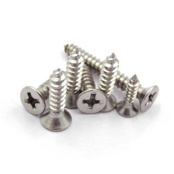 M4 x 20mm SS304 Stainless Steel Self-Tapping Screw - For Timber