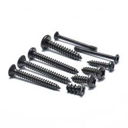 Self-Tapping Phillips Pan Head Stainless Steel Screw for Plastic - Black Zinc Coated