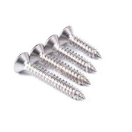 M3 Stainless Steel Security Self-Tapping Screw M3 Stainless Steel Security Self-Tapping Screw