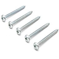 SS304/SS316 Stainless Steel #8 x 12 Pan Head Phillips Cross Recessed Tapping Screws - Zinc Coated SS304/SS316 Stainless Steel #8 x 12 Pan Head Phillips Cross Recessed Tapping Screws - Zinc Coated