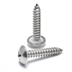 Precision Thread Stainless Steel 304/316 Hex, Phillips, Truss, Pan, Flat Head Self-Tapping Screw