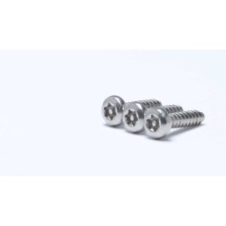Self-Tapping Stainless Steel 304 Pan Head PT Thread Screw - Torx Pin, Thread Forming