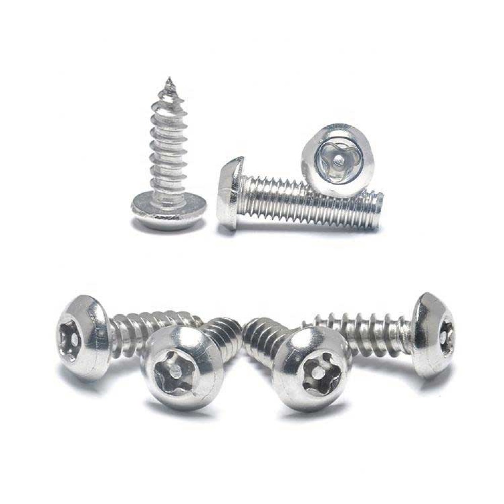 Self-Tapping SS304 Pan Head PT Thread Screw - Torx Pin