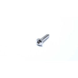 Self-Tapping Stainless Steel 304 Phillips Pan Head Screw for Plastic