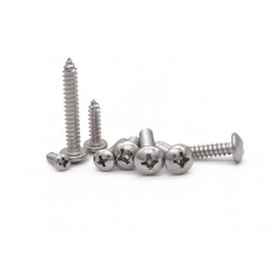 Stainless Steel 10 Gauge Self-Tapping Screw for Sandwich Panels