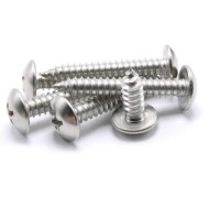 Torx Head Self-Tapping Screw - Stainless Steel M3 Torx Head Self-Tapping Screw - Stainless Steel M3