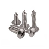 Self-Tapping Screw - Stainless Steel High/Low Thread Self-Tapping Screw - Stainless Steel High/Low Thread
