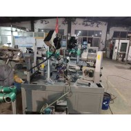 Multi-Spindle Drilling Tapping Chamfering Machine - Automatic with Adjustable Speed - Multi-Hole Capacity Multi-Spindle Drilling Tapping Chamfering Machine - Automatic with Adjustable Speed - Multi-Hole Capacity