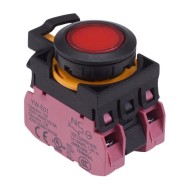 CW1L-M1E02Q4R Red 24V illuminated Momentary Push Button Switch 2NC IP65 CW1L-M1E02Q4R Red 24V illuminated Momentary Push Button Switch 2NC IP65