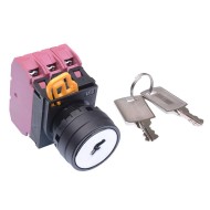 22mm 2 Position Maintained Key Switch 3NC IP65 YW1K-2AE03 22mm 2 Position Maintained Key Switch 3NC IP65 YW1K-2AE03