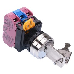 22mm Metal Bezel 2 Position Maintained Key Switch 1NO-2NC IP65 YW4K-2AE12 22mm Metal Bezel 2 Position Maintained Key Switch 1NO-2NC IP65 YW4K-2AE12