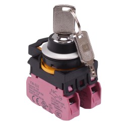 CW4K-2AE02 2 Position Metallic Maintained Key Switch 2NC IP65 CW4K-2AE02 2 Position Metallic Maintained Key Switch 2NC IP65