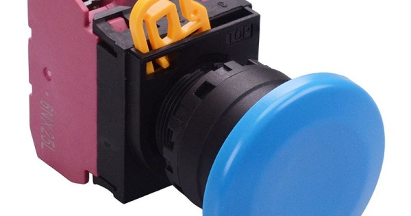 Blue 22mm Mushroom Maintained Push Button Switch 2NC IP65