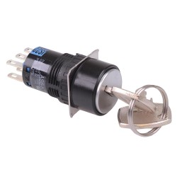 AS6M-2KT2PB 2 Position 16mm Latching Key Switch DPDT AS6M-2KT2PB 2 Position 16mm Latching Key Switch DPDT
