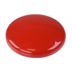 U6426 Red Brass Mushroom Actuator for 13000 Series Push Button Switch