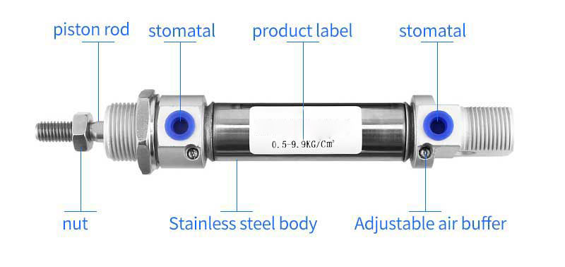 DSNU20X25-PPV DSNU20X50 DSNU20X75 DSNU20X100 DSNU20X125  DSNU20X150 CD85N20 MI20 Stainless steel pneumatic cylinder