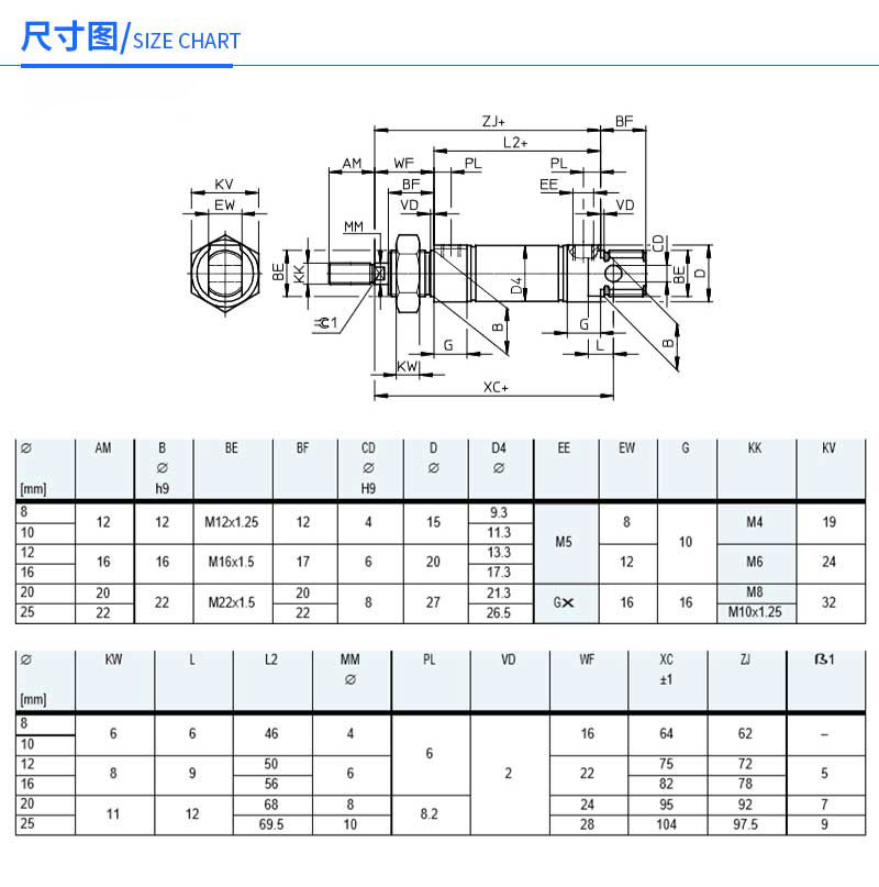 DSNU20X25-PPV DSNU20X50 DSNU20X75 DSNU20X100 DSNU20X125  DSNU20X150 CD85N20 MI20 Stainless steel pneumatic cylinder