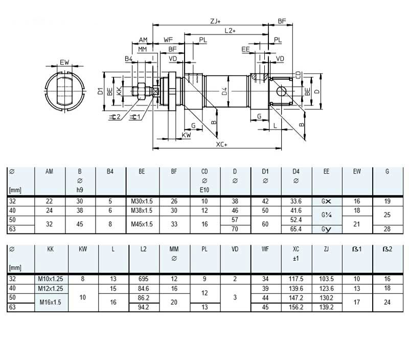 DSNU20X25-PPV DSNU20X50 DSNU20X75 DSNU20X100 DSNU20X125  DSNU20X150 CD85N20 MI20 Stainless steel pneumatic cylinder