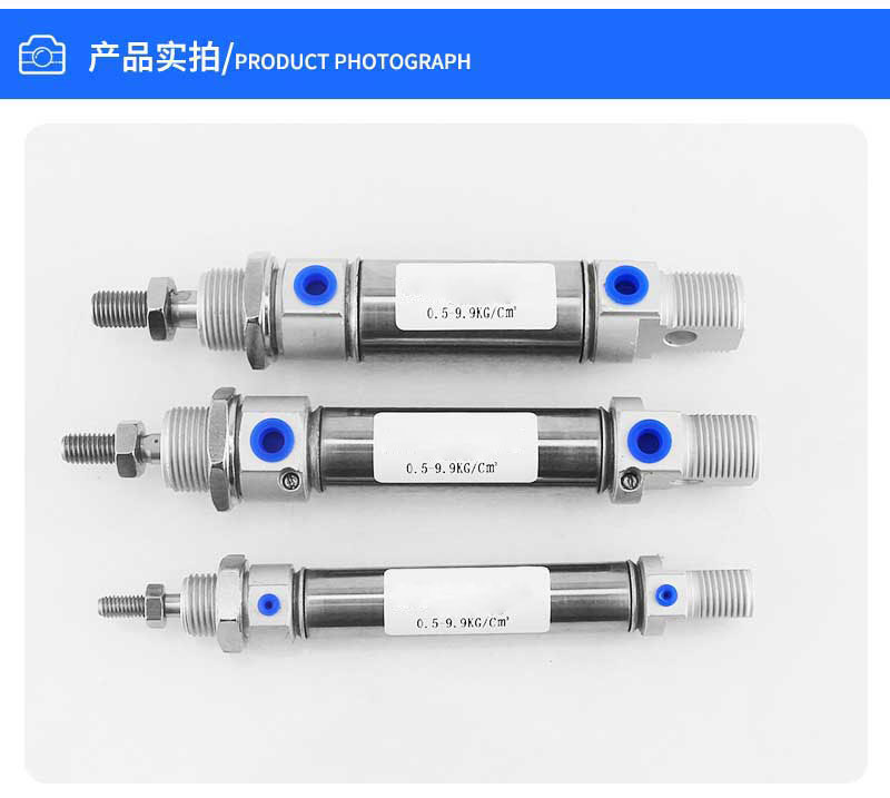 DSNU20X25-PPV DSNU20X50 DSNU20X75 DSNU20X100 DSNU20X125  DSNU20X150 CD85N20 MI20 Stainless steel pneumatic cylinder