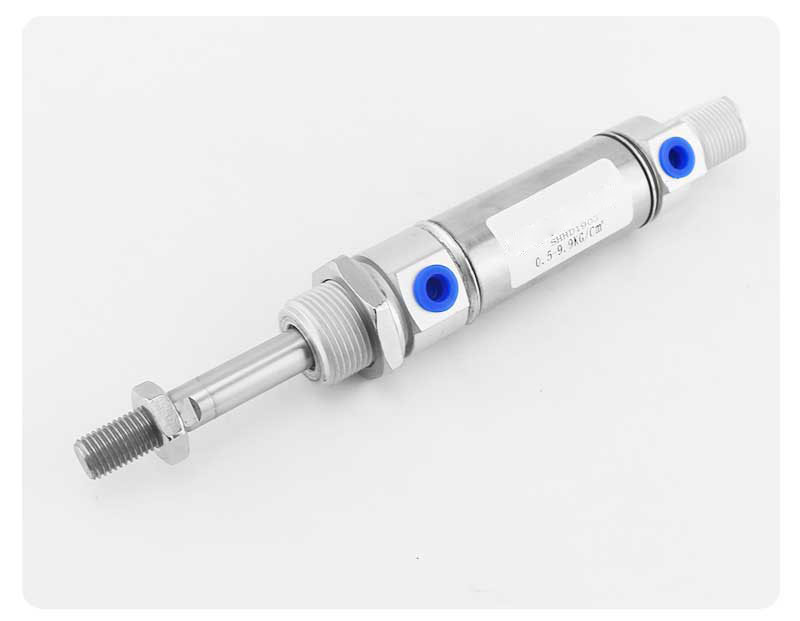 DSNU20X25-PPV DSNU20X50 DSNU20X75 DSNU20X100 DSNU20X125  DSNU20X150 CD85N20 MI20 Stainless steel pneumatic cylinder
