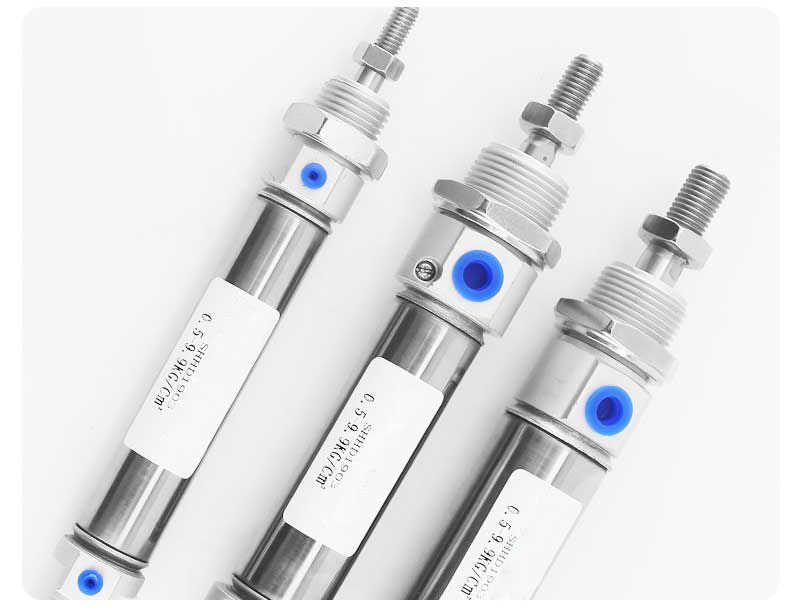 DSNU20X25-PPV DSNU20X50 DSNU20X75 DSNU20X100 DSNU20X125  DSNU20X150 CD85N20 MI20 Stainless steel pneumatic cylinder