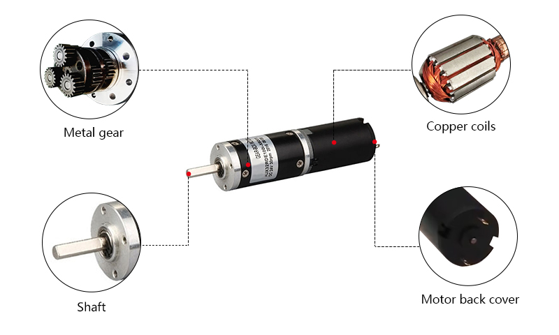 Brushed DC Motor with Gearbox, 2800rpm, 12V/24V, 32mm