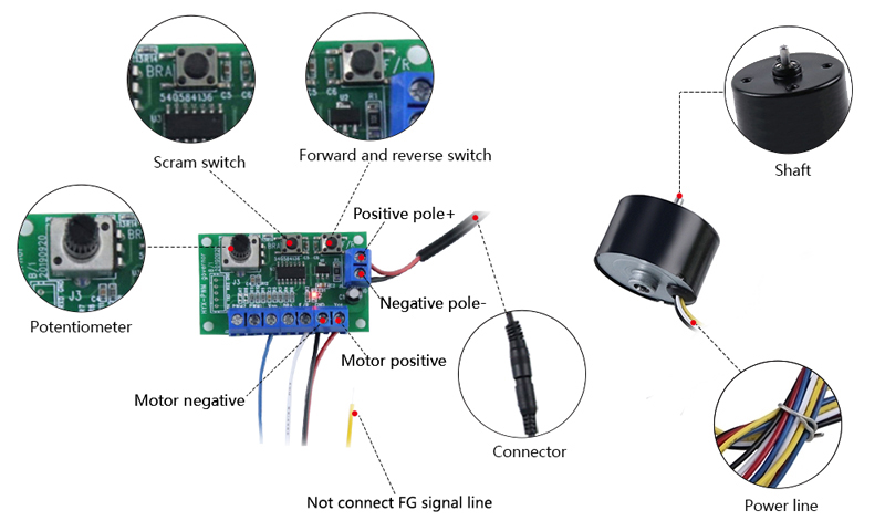 3000 rpm 12V 24V Small Brushless DC Motor