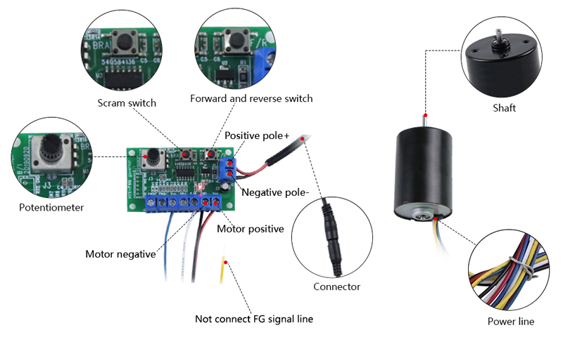 4000 rpm 12V 24V Small Brushless DC Motor