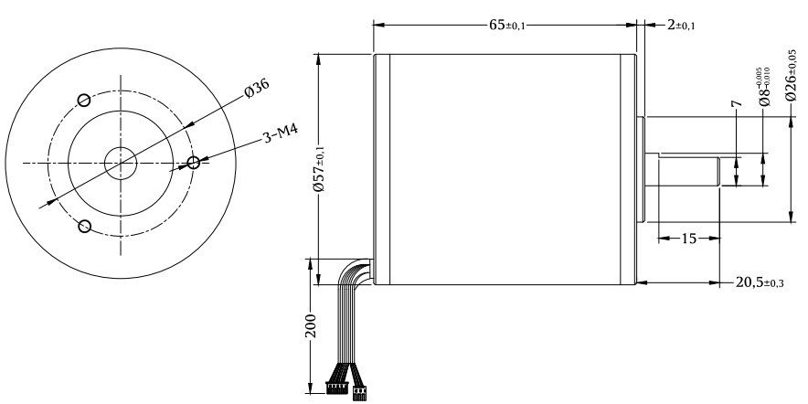 9000 rpm 24V Small Brushless DC Motor