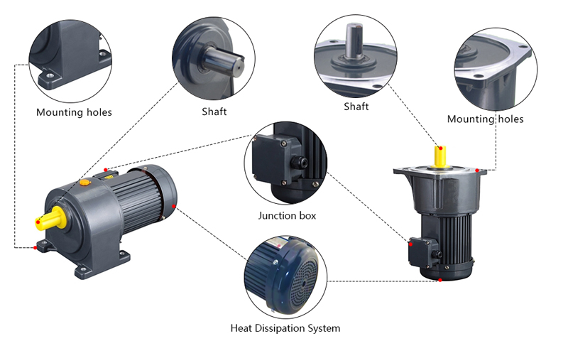 1 hp (750W) 1-phase/3-Phase AC Gear Motor, Ratio 3~100