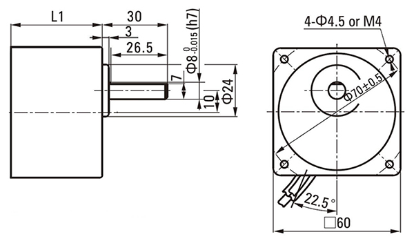30 W DC Gear Motor, 3000 rpm, 12V/24V