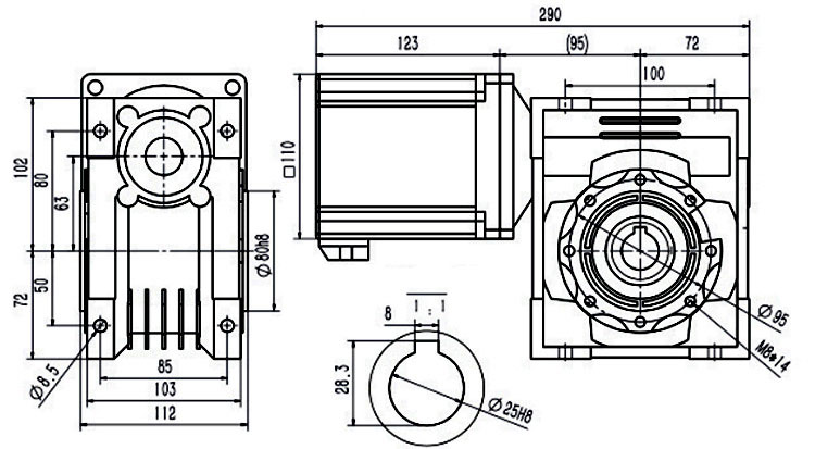 1000 W DC Worm Gear Motor, 24V/48V