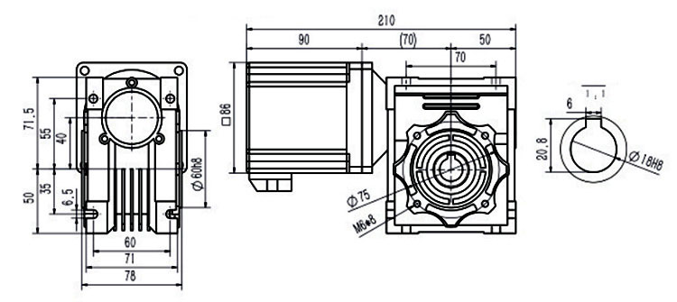 300 W DC Worm Gear Motor, 12V/24V/48V
