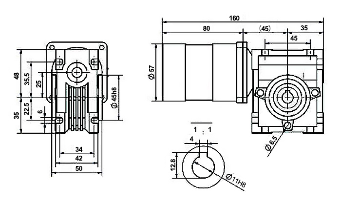 50 W DC Worm Gear Motor, 12V/24V