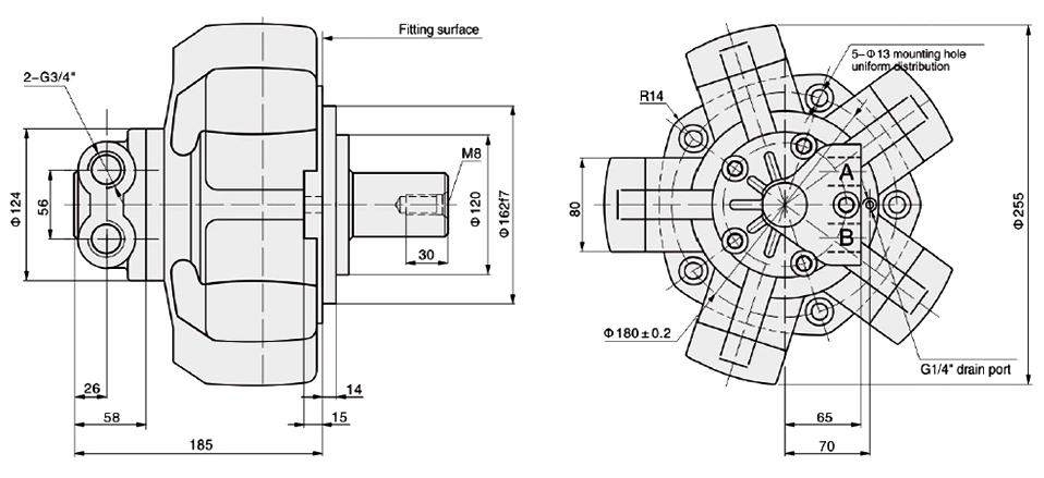 15 hp 100-280cc Radial Piston Hydraulic Motor, 25MPa