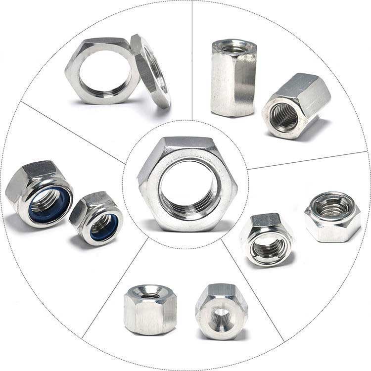 Stainless Steel Material M2 M4 M6 DIN934 Metric Size Support Customization Hex Nuts
