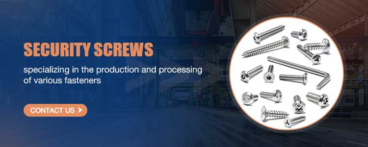 ISO14586 GB2670.2 SS304 316 Countersunk Flat Head Torx Self Tapping Security Screw Torx