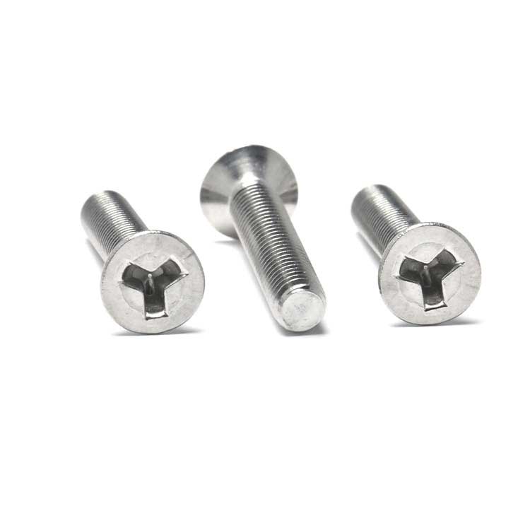Stainless Steel SS304 316 Custom M2 M4 M6 M8 Y type CSK Head Security Screws