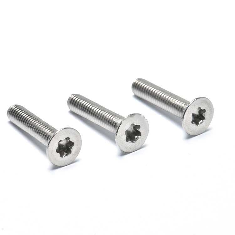 Stainless Steel & Zinc Plated Custom M2 M4 M8 M10 Vrious Type Torx CSK Head Security Screws