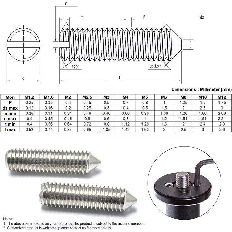 Polished Passivation Stainless Steel 304 316 Metric M3 M4 DIN553 Slotted Set Screw with Cone Point