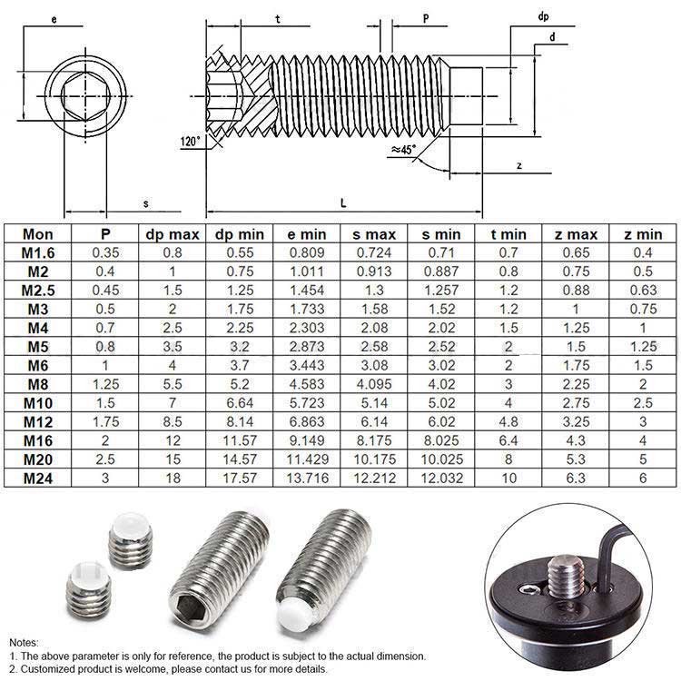Stainless steel SS304 316 M1.6-M24 Precision Thread Plastic Tip Hex Socket Grub Screws
