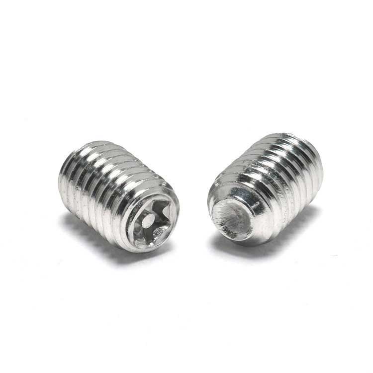 Stainless steel SS304 316 Various Size Precision Thread Cup Point Torx Pin Set Screws