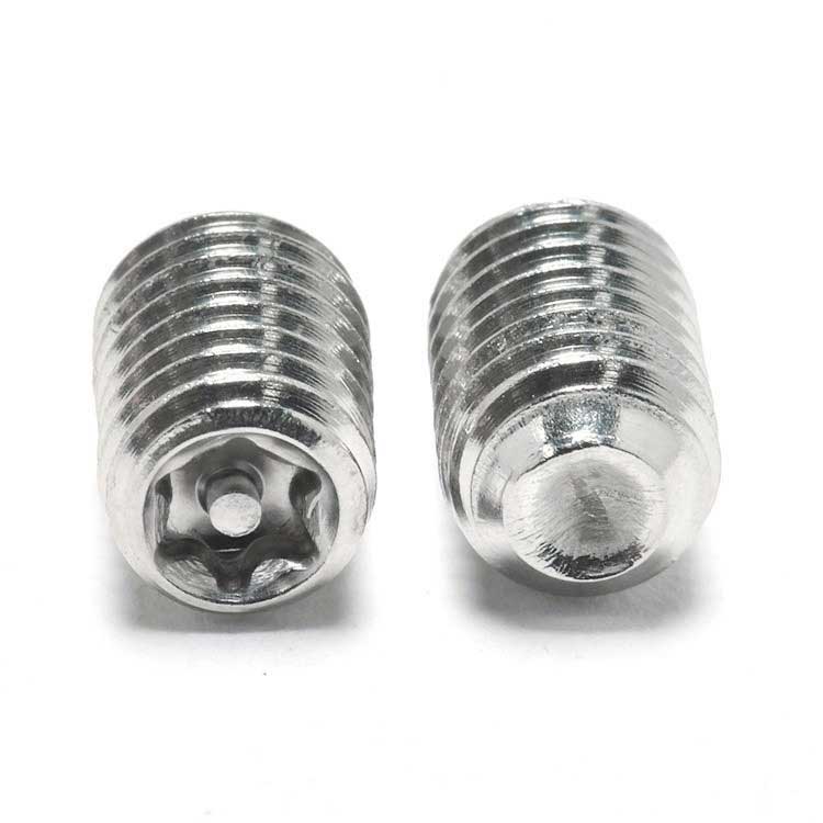 Stainless steel SS304 316 Various Size Precision Thread Cup Point Torx Pin Set Screws