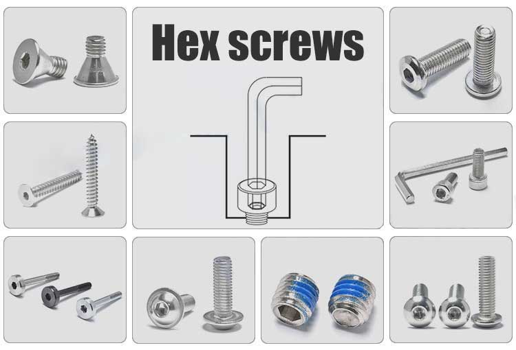 SS304 316 Black Oxide Hexagon Button Head Socket Head Screw