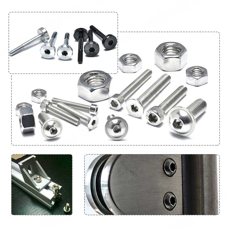 SS304 SS316 Various Types Hex Socket Screws and Nuts