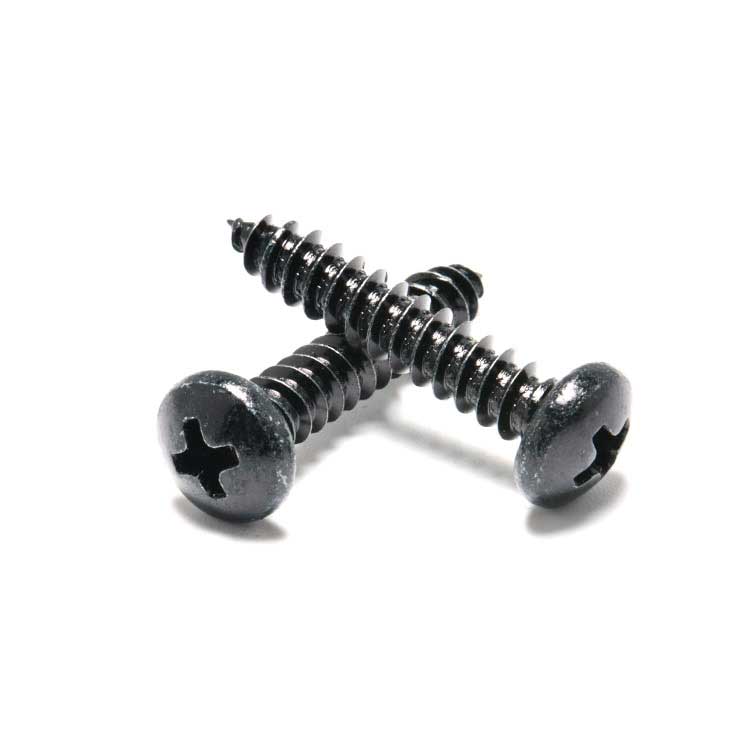 Phillips Pan Head Stainless Steel Black Steel Black Zinc Self Tapping Screw for Plastic