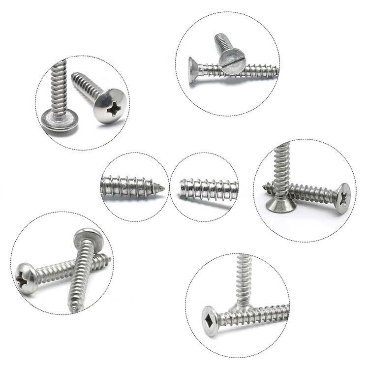 Professional Stainless Steel Carbon Steel Flat Pan Hex SCK Torx Phllips Head Security Self Tapping Screw