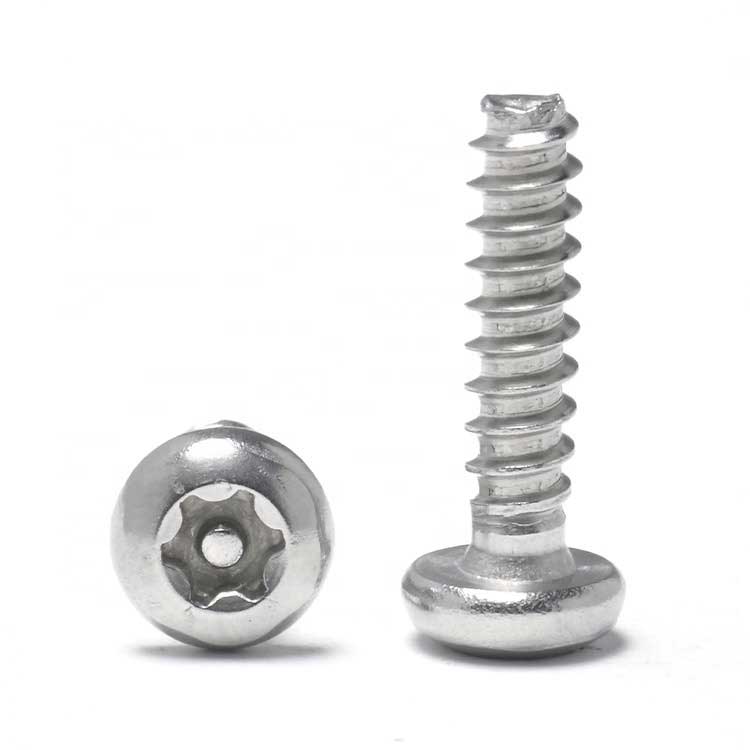 Stainless Steel 304 Pan Torx Pin Head Thread Forming PT Thread Self Tapping Screw