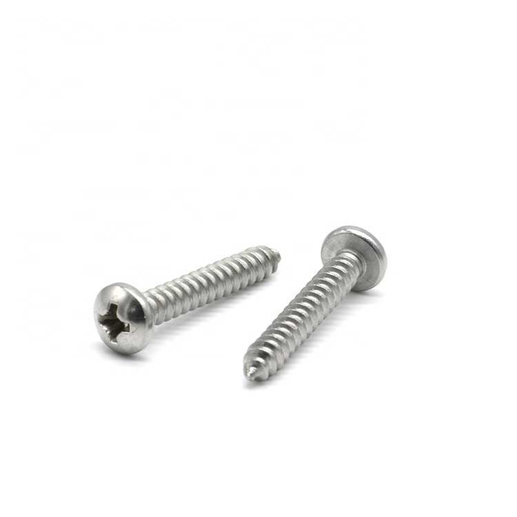 Stainless Steel 304 Phillips Pan Head Self Tapping Screw for Plastic